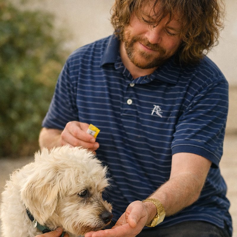 hospice & quality of life